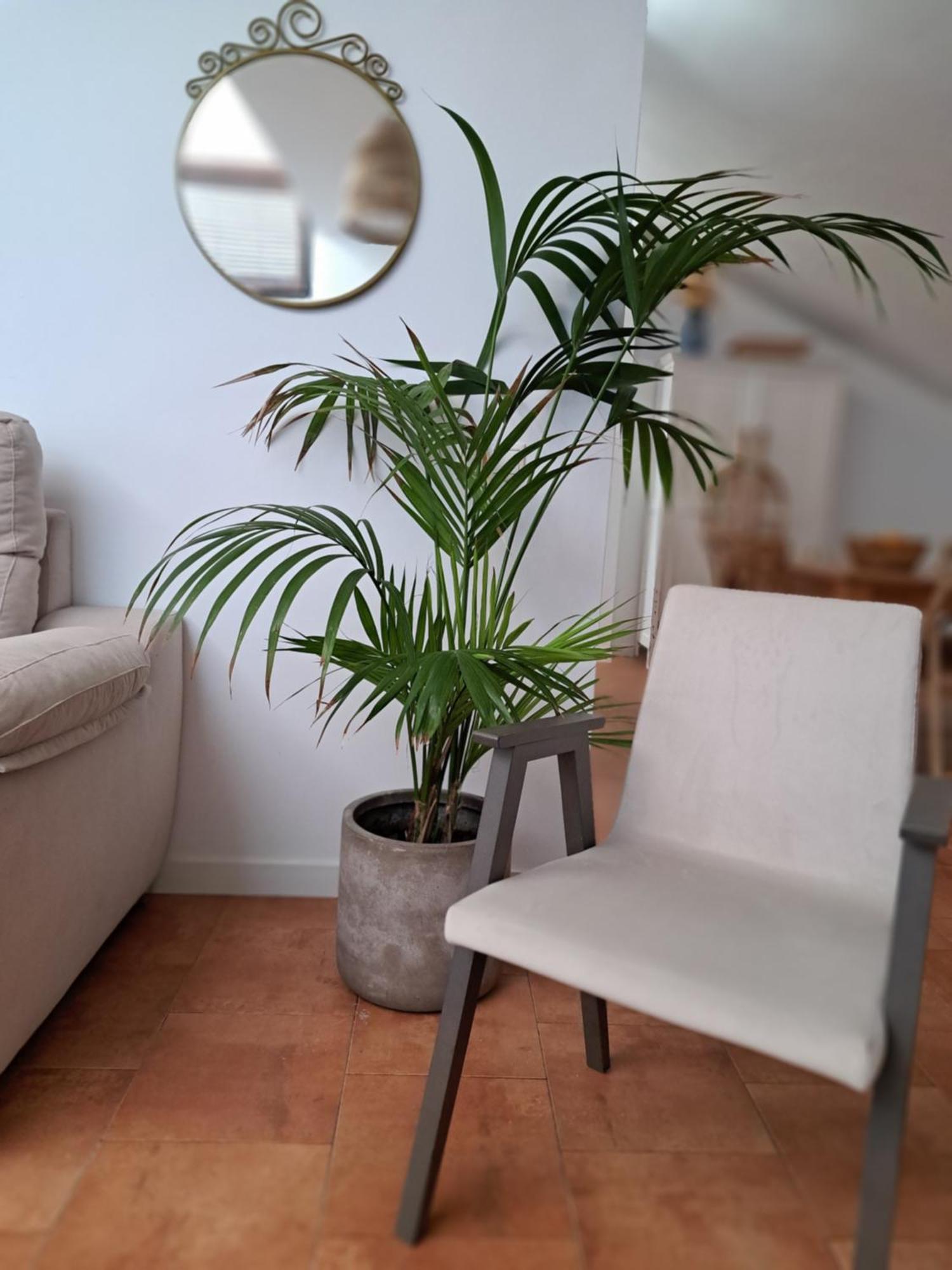 Los Patios. 普拉森西亚 外观 照片
